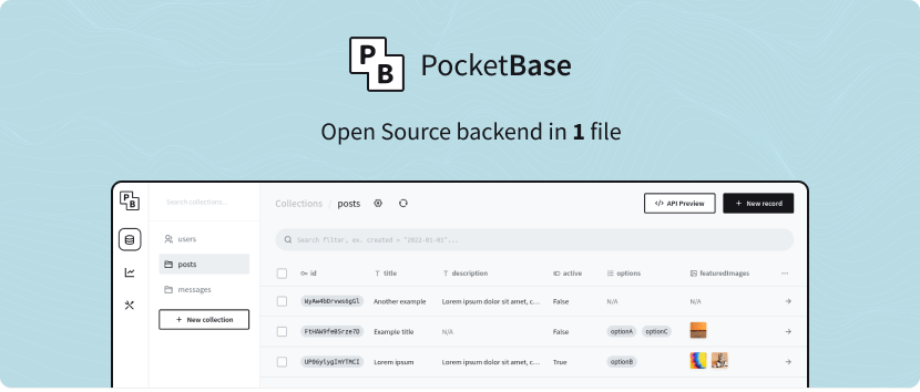 demo-picture-of-pocketbase