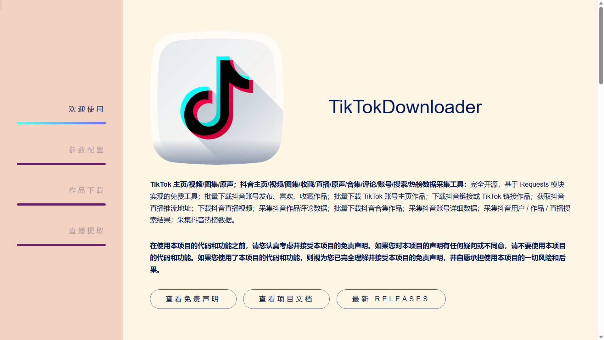 demo-picture-of-TikTokDownloader