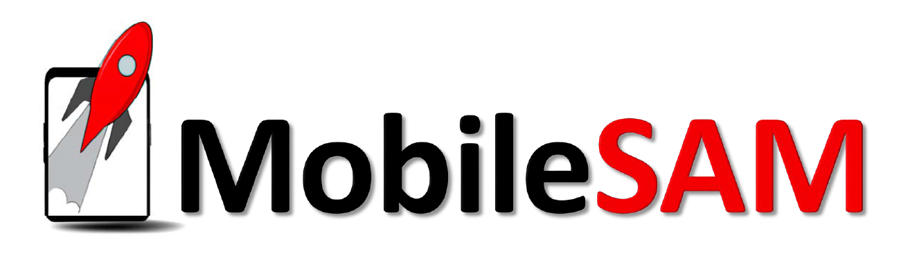 demo-picture-of-MobileSAM