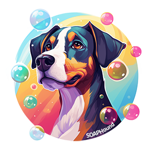 demo-picture-of-SOAPHound