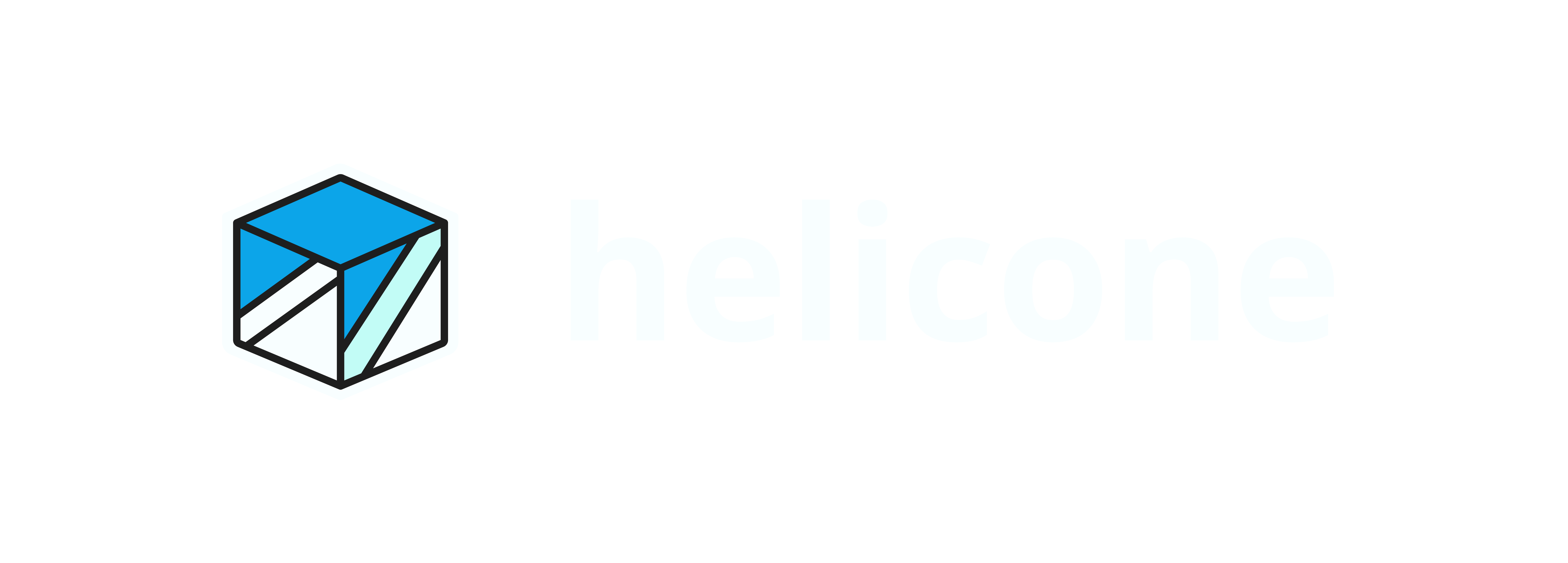 demo-picture-of-helicone