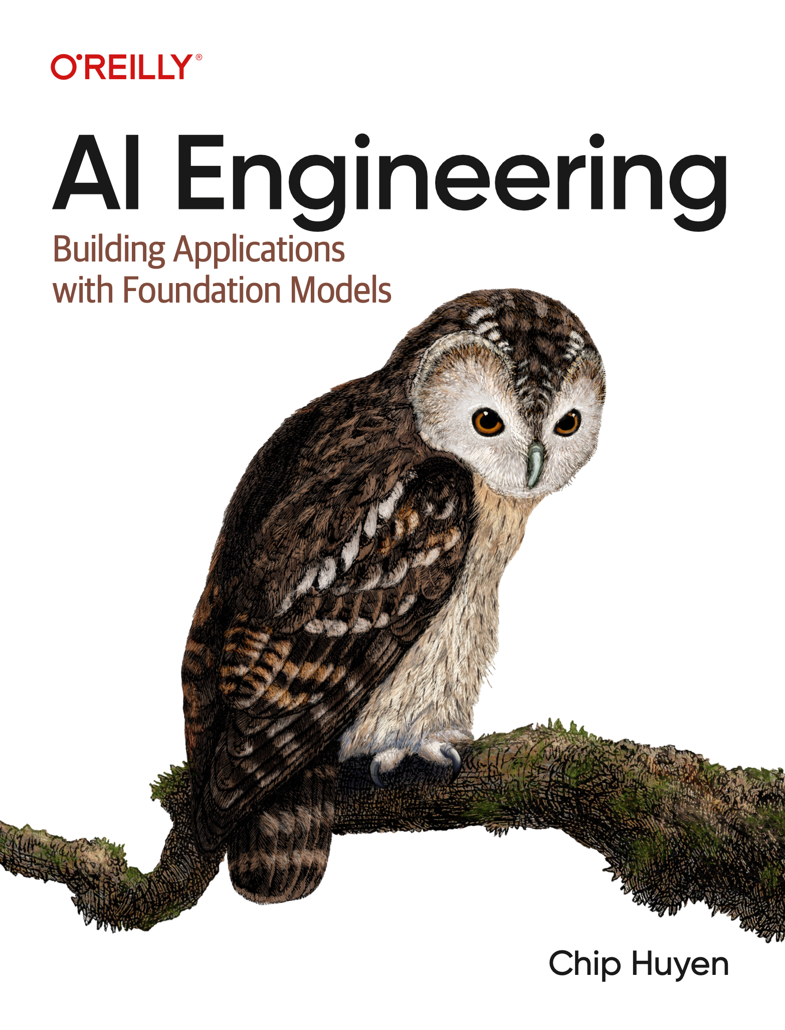 demo-picture-of-aie-book