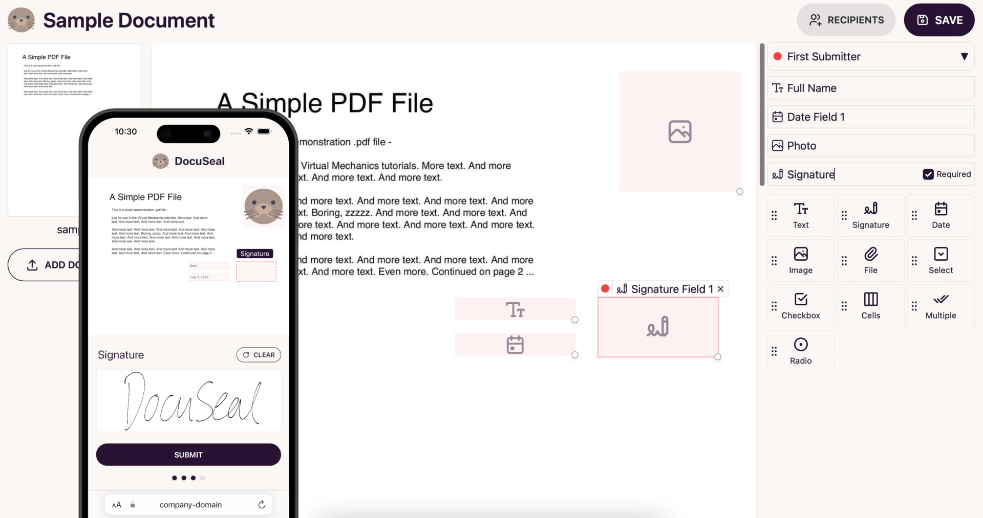 demo-picture-of-docuseal