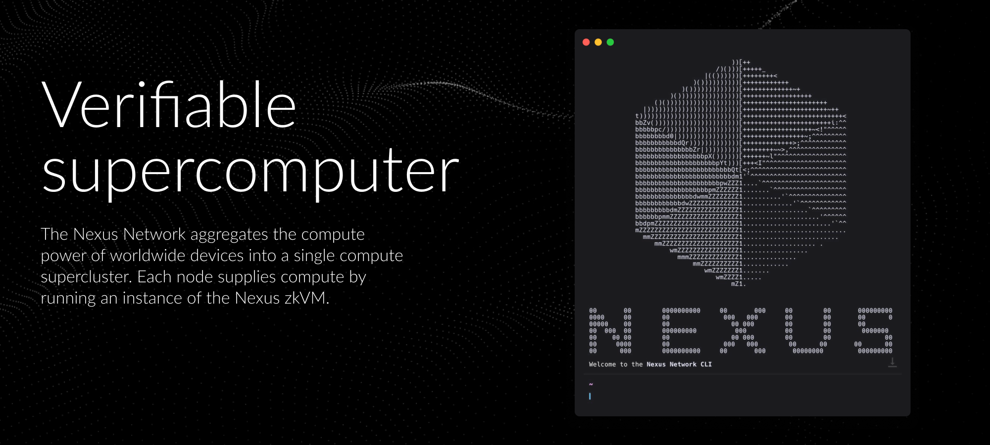 demo-picture-of-nexus-cli