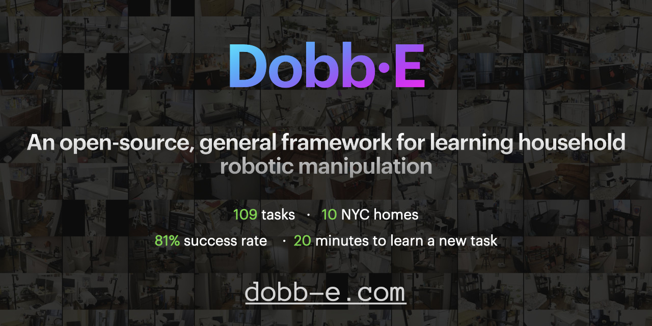 demo-picture-of-dobb-e