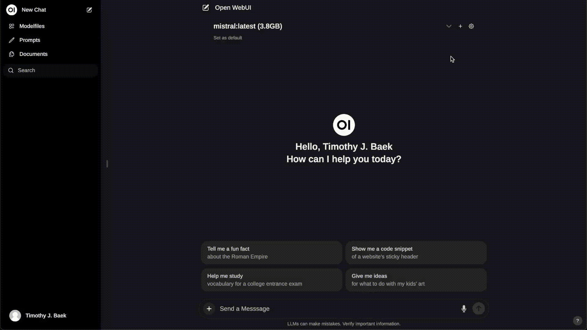 demo-picture-of-open-webui