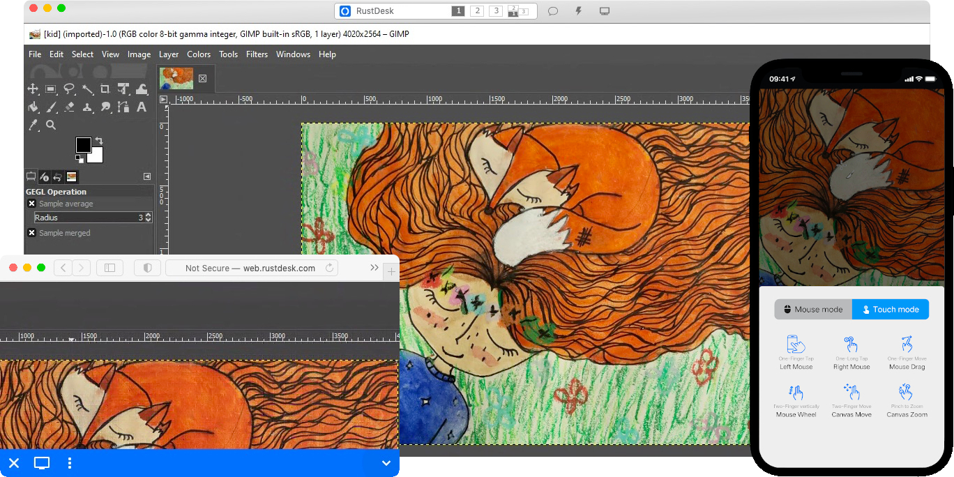 demo-picture-of-rustdesk